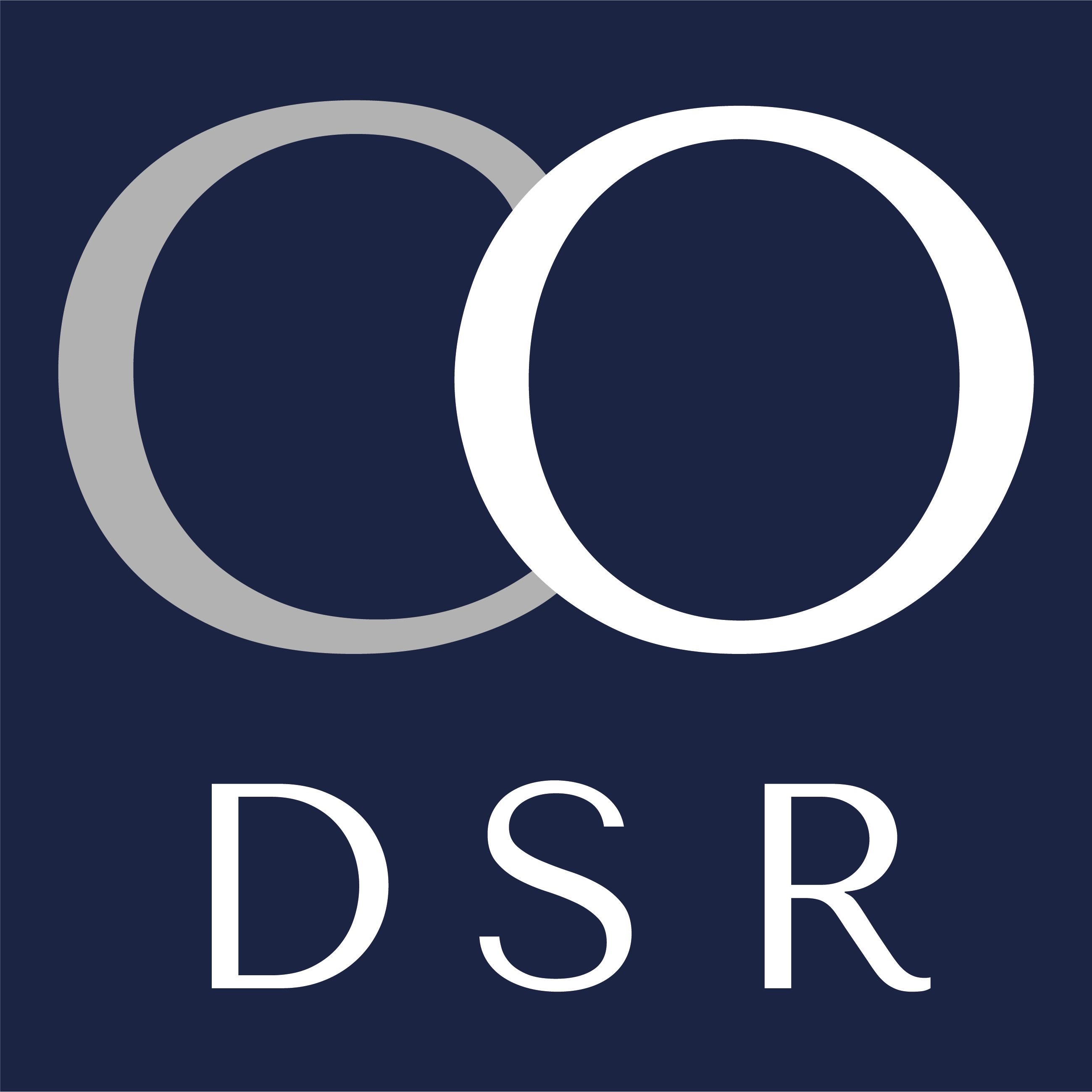 DSR Consultores